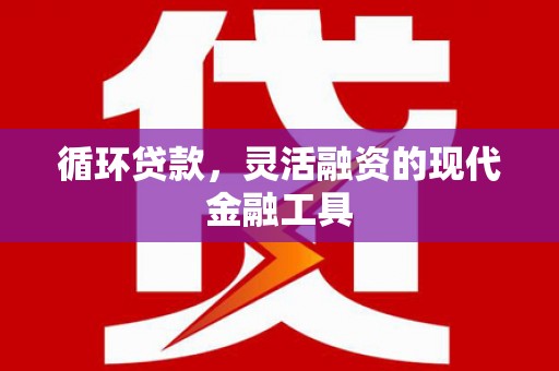 确山循环贷款，灵活融资的现代金融工具