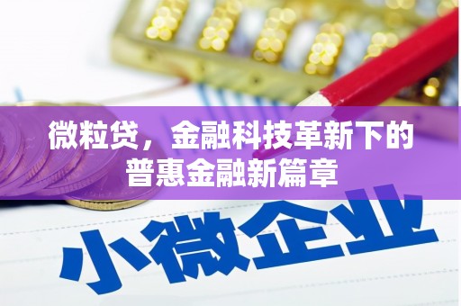 确山微粒贷，金融科技革新下的普惠金融新篇章