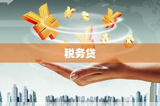 确山税务贷