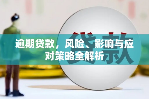 确山逾期贷款，风险、影响与应对策略全解析