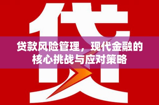 确山贷款风险管理，现代金融的核心挑战与应对策略