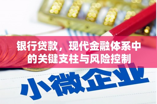 确山银行贷款，现代金融体系中的关键支柱与风险控制