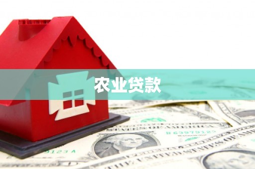 确山农业贷款