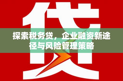 确山探索税务贷，企业融资新途径与风险管理策略