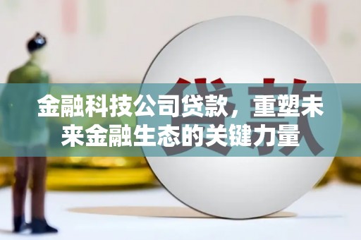 确山金融科技公司贷款，重塑未来金融生态的关键力量