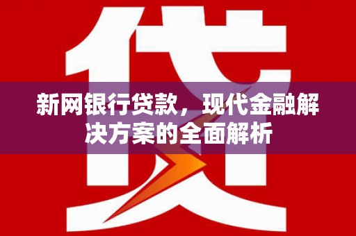确山新网银行贷款，现代金融解决方案的全面解析
