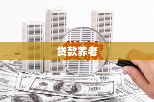确山贷款养老