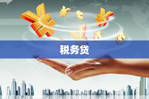 确山税务贷