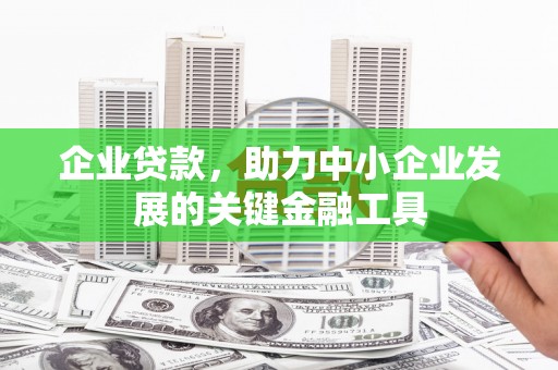 确山企业贷款，助力中小企业发展的关键金融工具