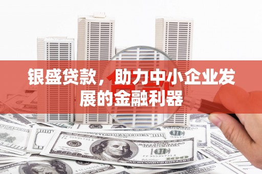 确山银盛贷款，助力中小企业发展的金融利器