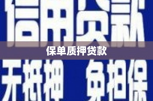 确山保单质押贷款
