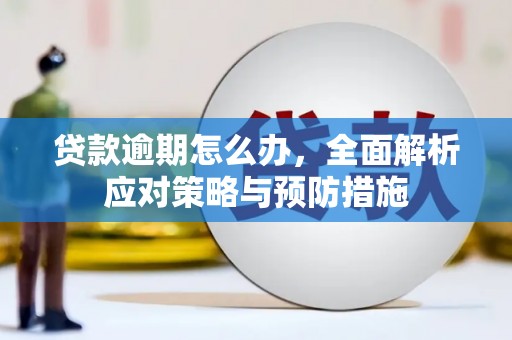 确山贷款逾期怎么办，全面解析应对策略与预防措施
