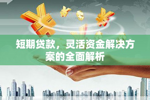 确山短期贷款，灵活资金解决方案的全面解析