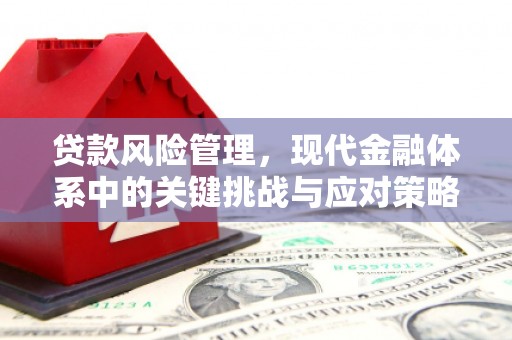 确山贷款风险管理，现代金融体系中的关键挑战与应对策略