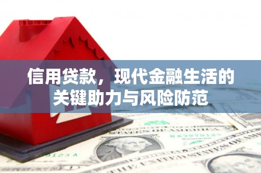 确山信用贷款，现代金融生活的关键助力与风险防范