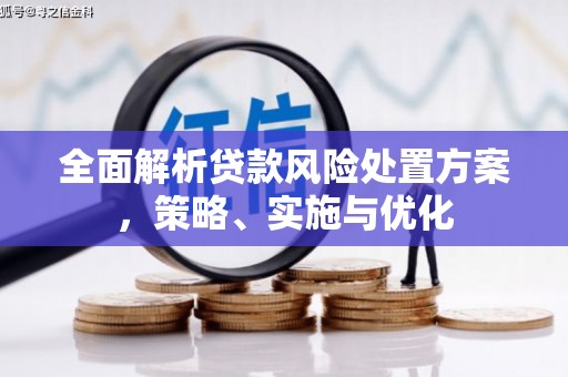 确山全面解析贷款风险处置方案，策略、实施与优化