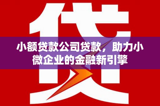 确山小额贷款公司贷款，助力小微企业的金融新引擎