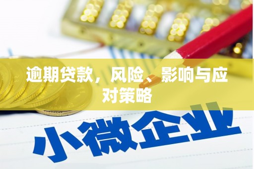 确山逾期贷款，风险、影响与应对策略