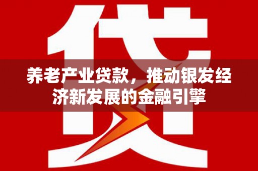 确山养老产业贷款，推动银发经济新发展的金融引擎