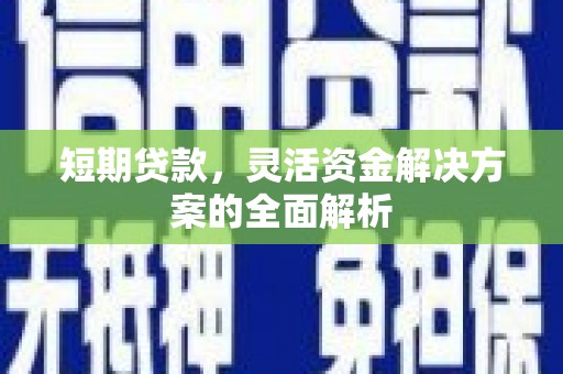 确山短期贷款，灵活资金解决方案的全面解析