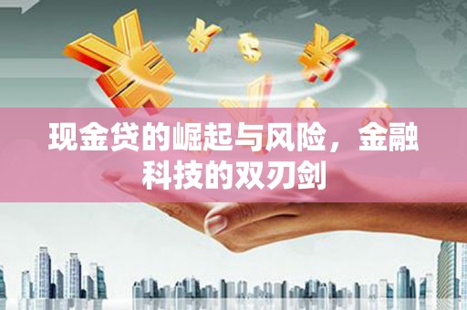 确山现金贷的崛起与风险，金融科技的双刃剑