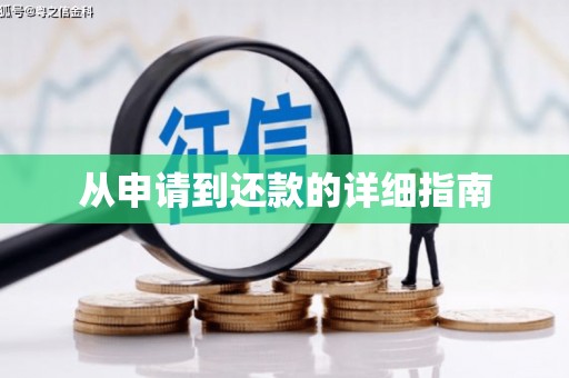 确山从申请到还款的详细指南