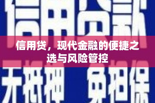 确山信用贷，现代金融的便捷之选与风险管控