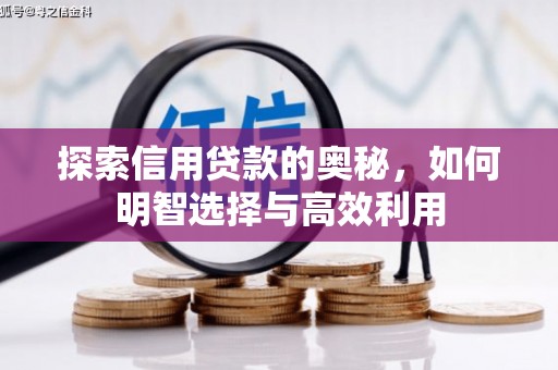 确山探索信用贷款的奥秘，如何明智选择与高效利用