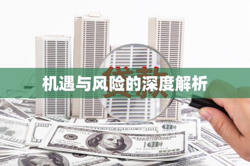 确山机遇与风险的深度解析