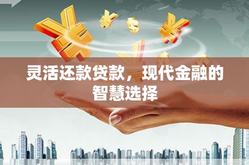 确山灵活还款贷款，现代金融的智慧选择
