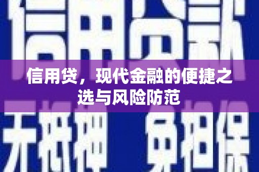 确山信用贷，现代金融的便捷之选与风险防范