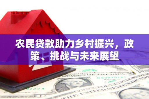 确山农民贷款助力乡村振兴，政策、挑战与未来展望