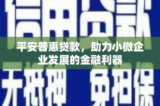 确山平安普惠贷款，助力小微企业发展的金融利器