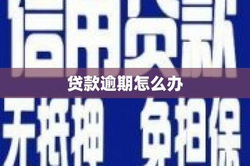 确山贷款逾期怎么办