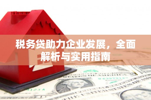 确山税务贷助力企业发展，全面解析与实用指南