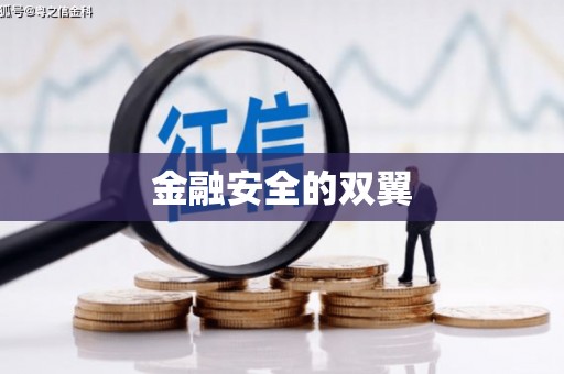 确山金融安全的双翼