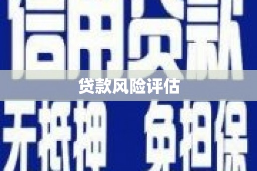 确山贷款风险评估