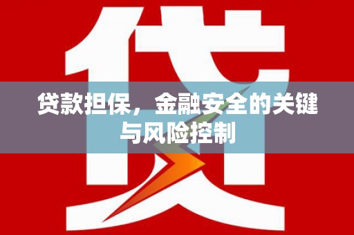确山贷款担保，金融安全的关键与风险控制