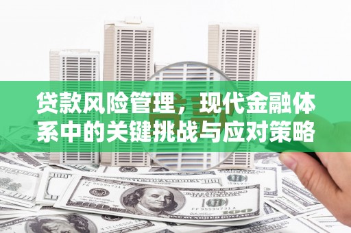 确山贷款风险管理，现代金融体系中的关键挑战与应对策略