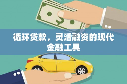 确山循环贷款，灵活融资的现代金融工具