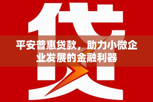 确山平安普惠贷款，助力小微企业发展的金融利器