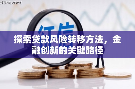确山探索贷款风险转移方法，金融创新的关键路径