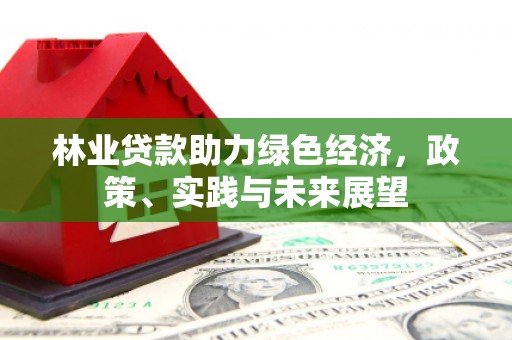 确山林业贷款助力绿色经济，政策、实践与未来展望