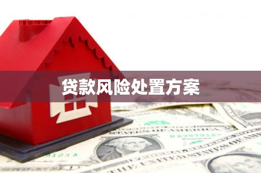 确山贷款风险处置方案