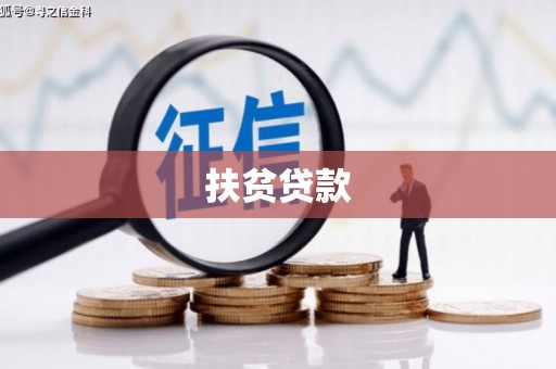 确山扶贫贷款