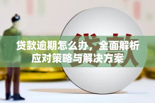 确山贷款逾期怎么办，全面解析应对策略与解决方案