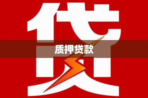 确山质押贷款