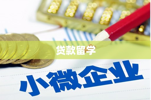确山贷款留学