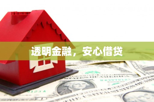 确山透明金融，安心借贷