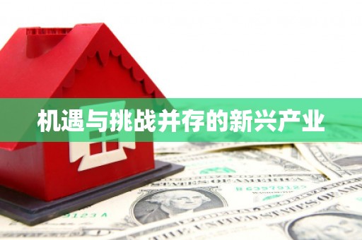 确山机遇与挑战并存的新兴产业